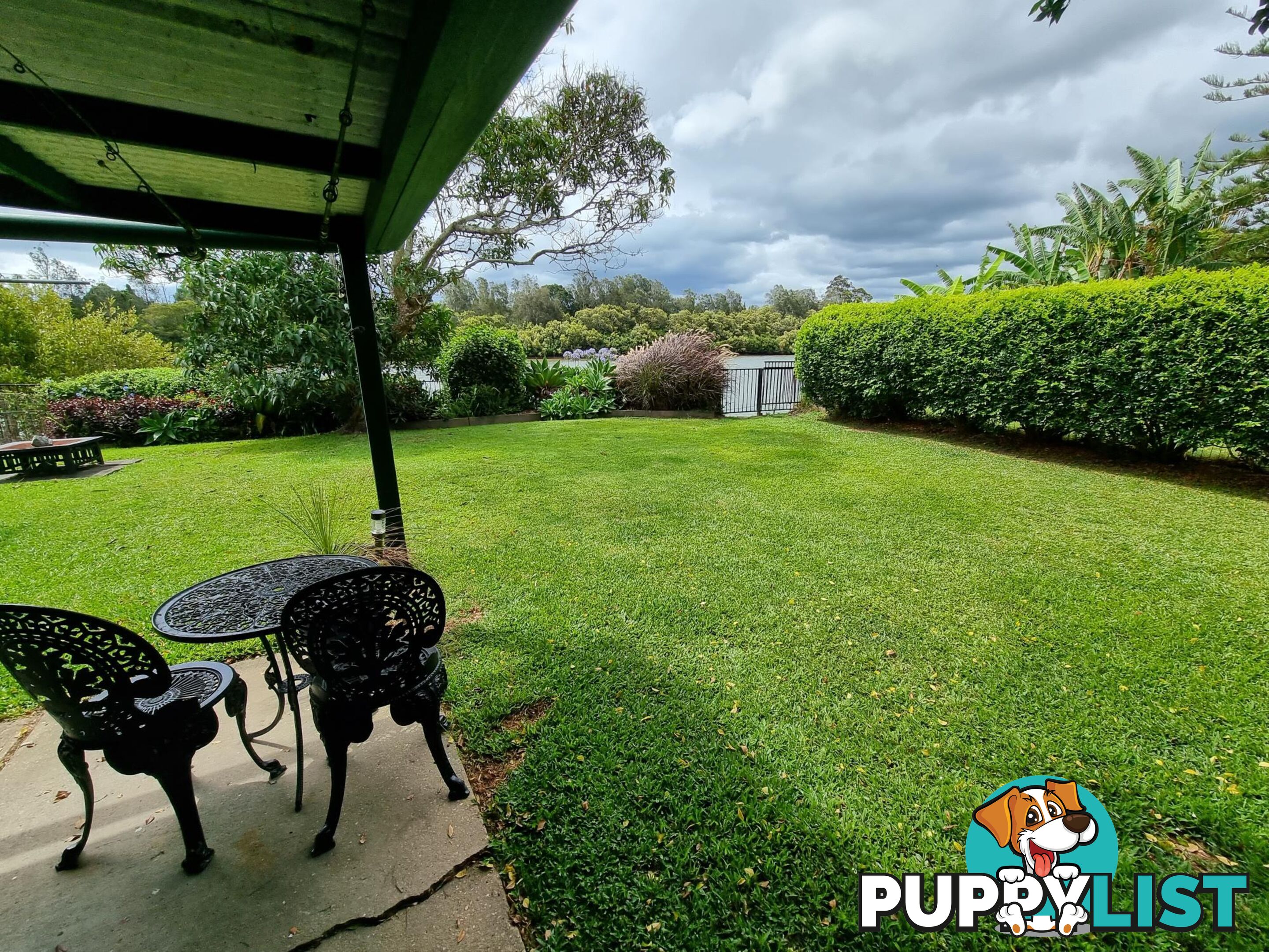 52 Jellico Street MACKSVILLE NSW 2447