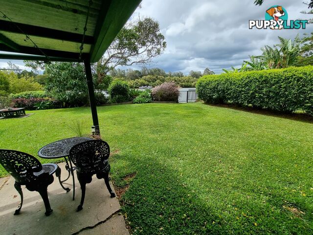 52 Jellico Street MACKSVILLE NSW 2447