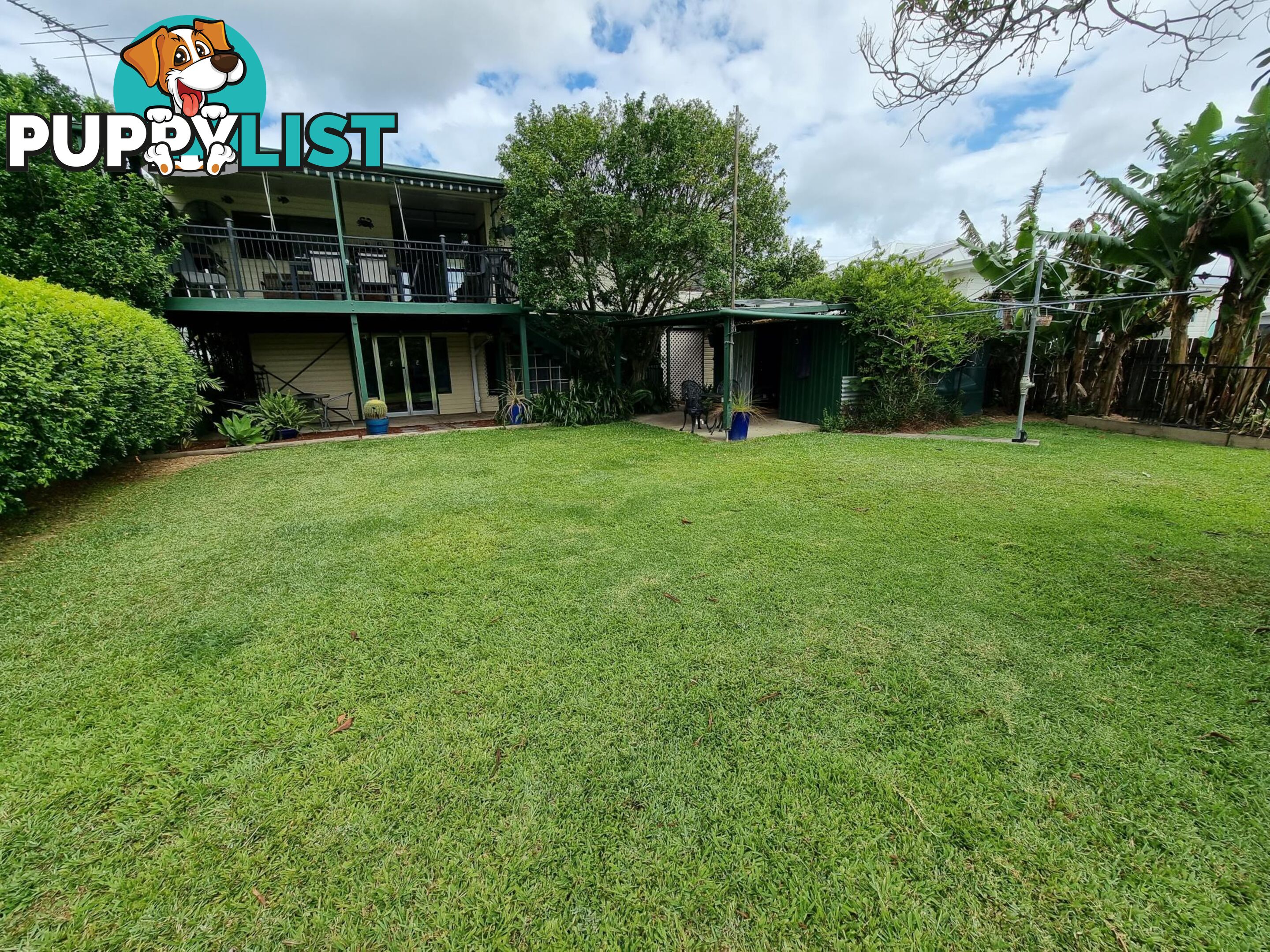 52 Jellico Street MACKSVILLE NSW 2447