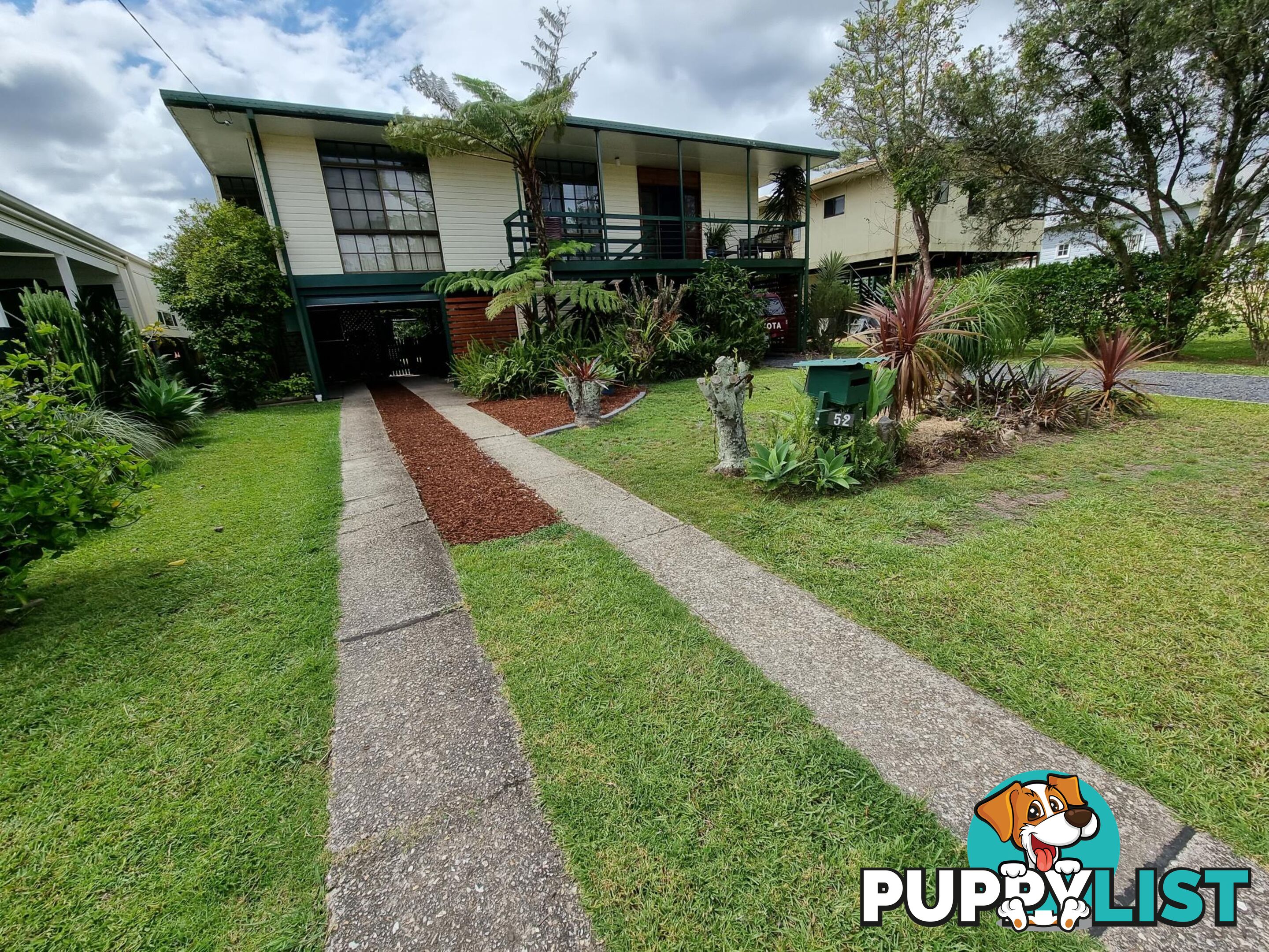 52 Jellico Street MACKSVILLE NSW 2447