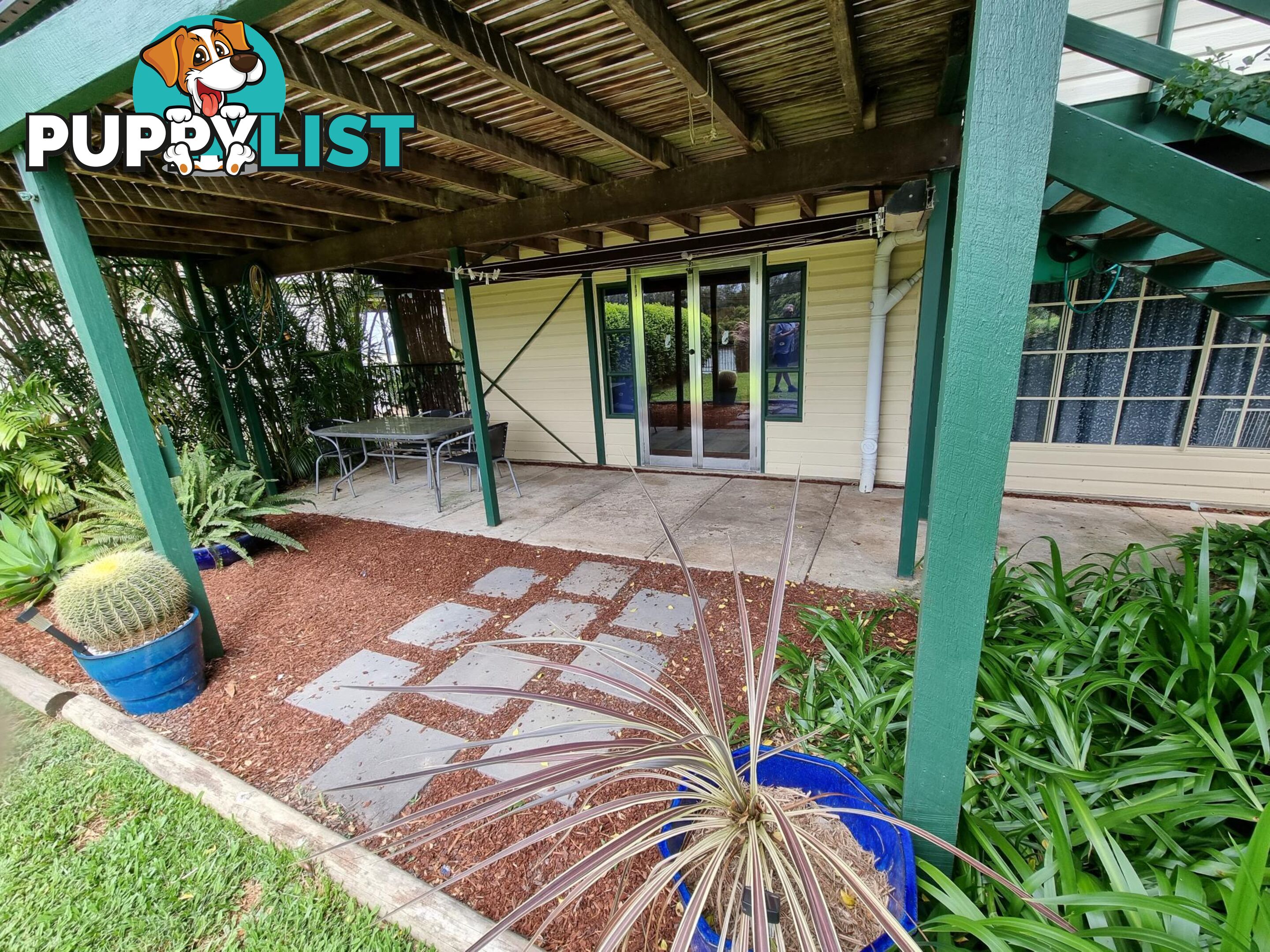 52 Jellico Street MACKSVILLE NSW 2447