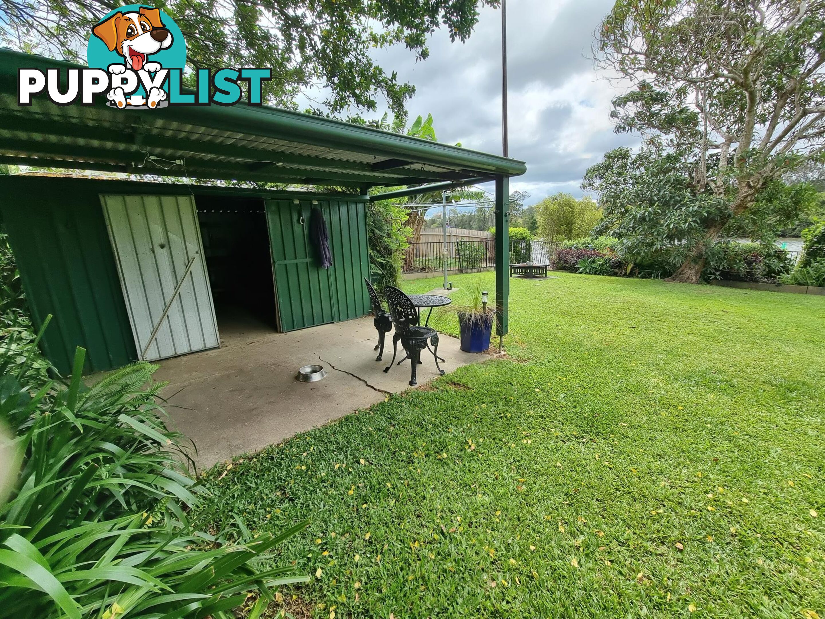 52 Jellico Street MACKSVILLE NSW 2447