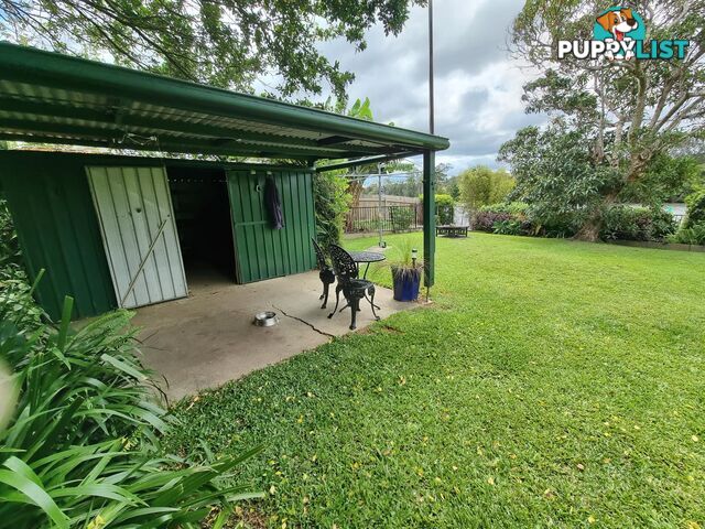 52 Jellico Street MACKSVILLE NSW 2447