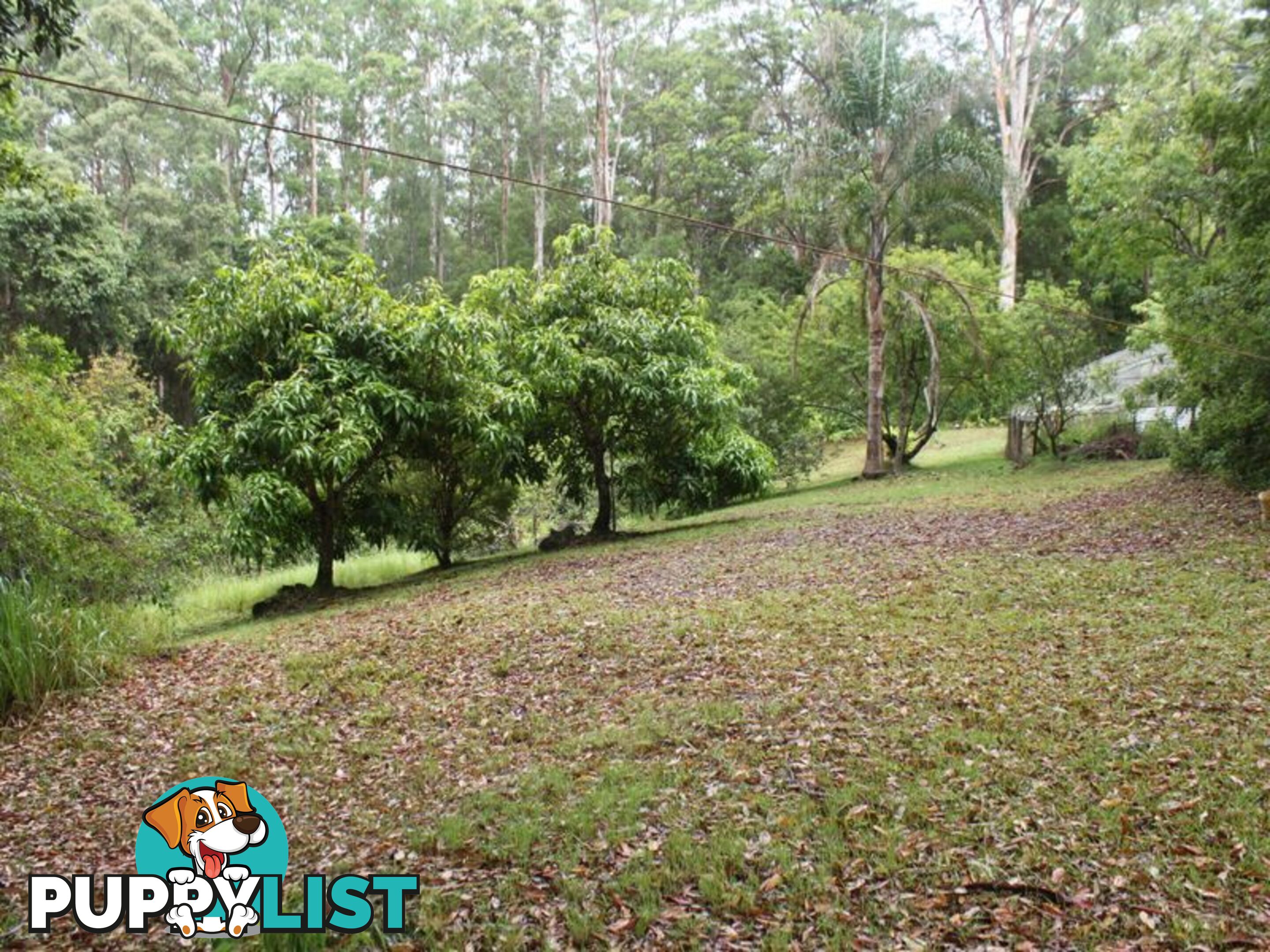 150 Martells Road BELLINGEN NSW 2454