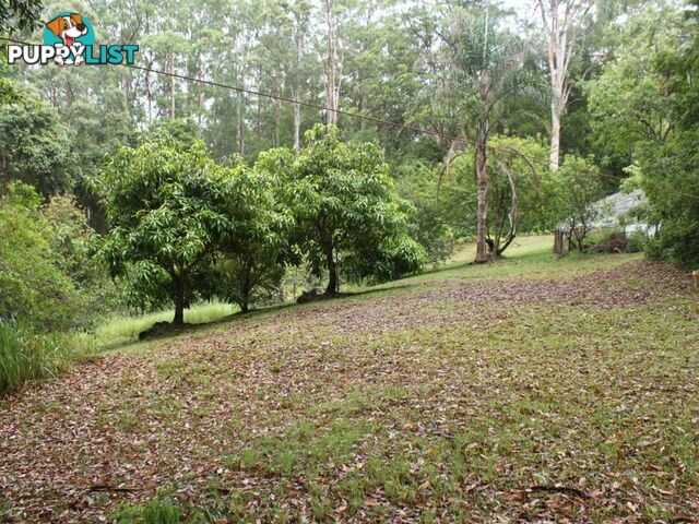 150 Martells Road BELLINGEN NSW 2454