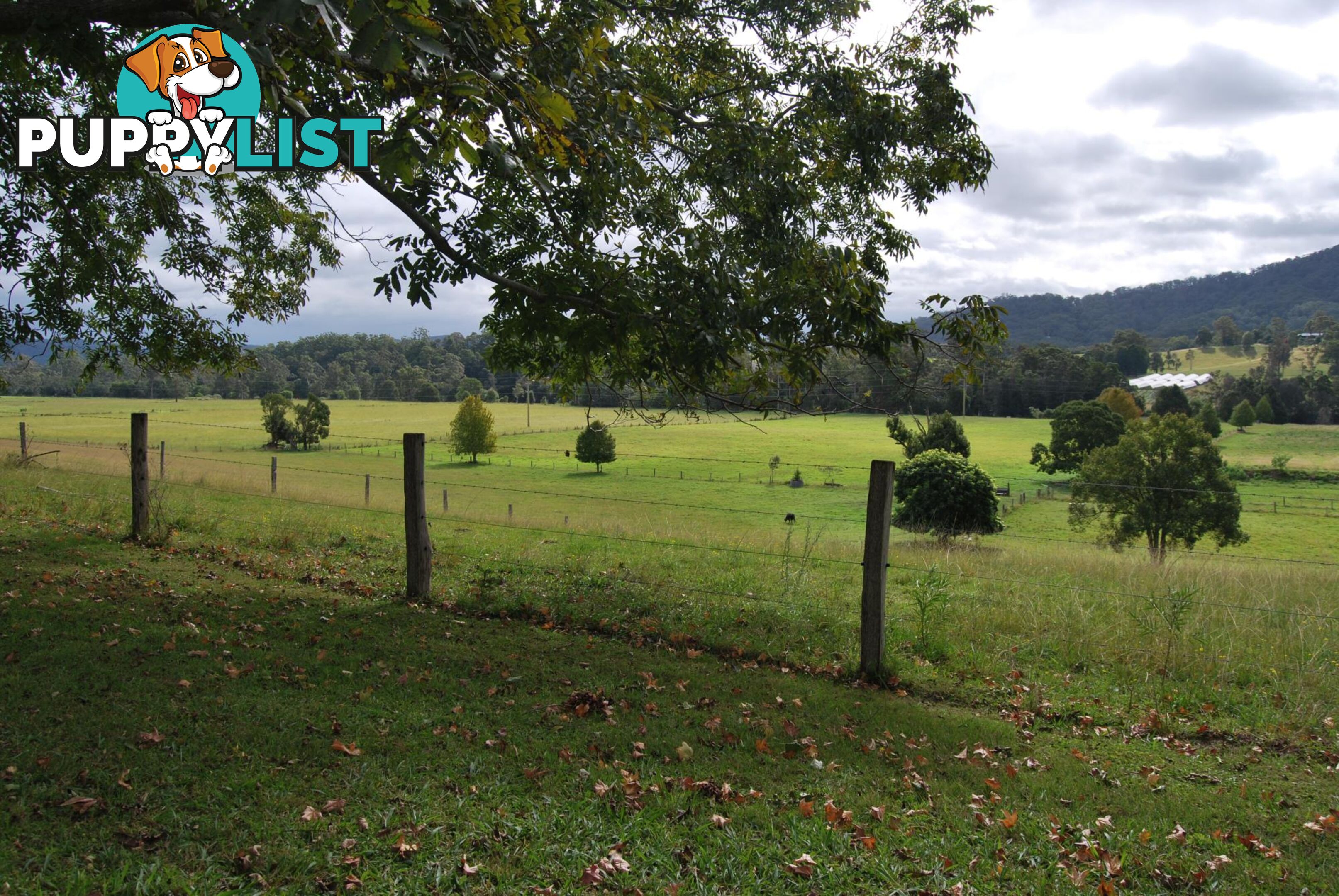 126 Deep Creek Road VALLA NSW 2448