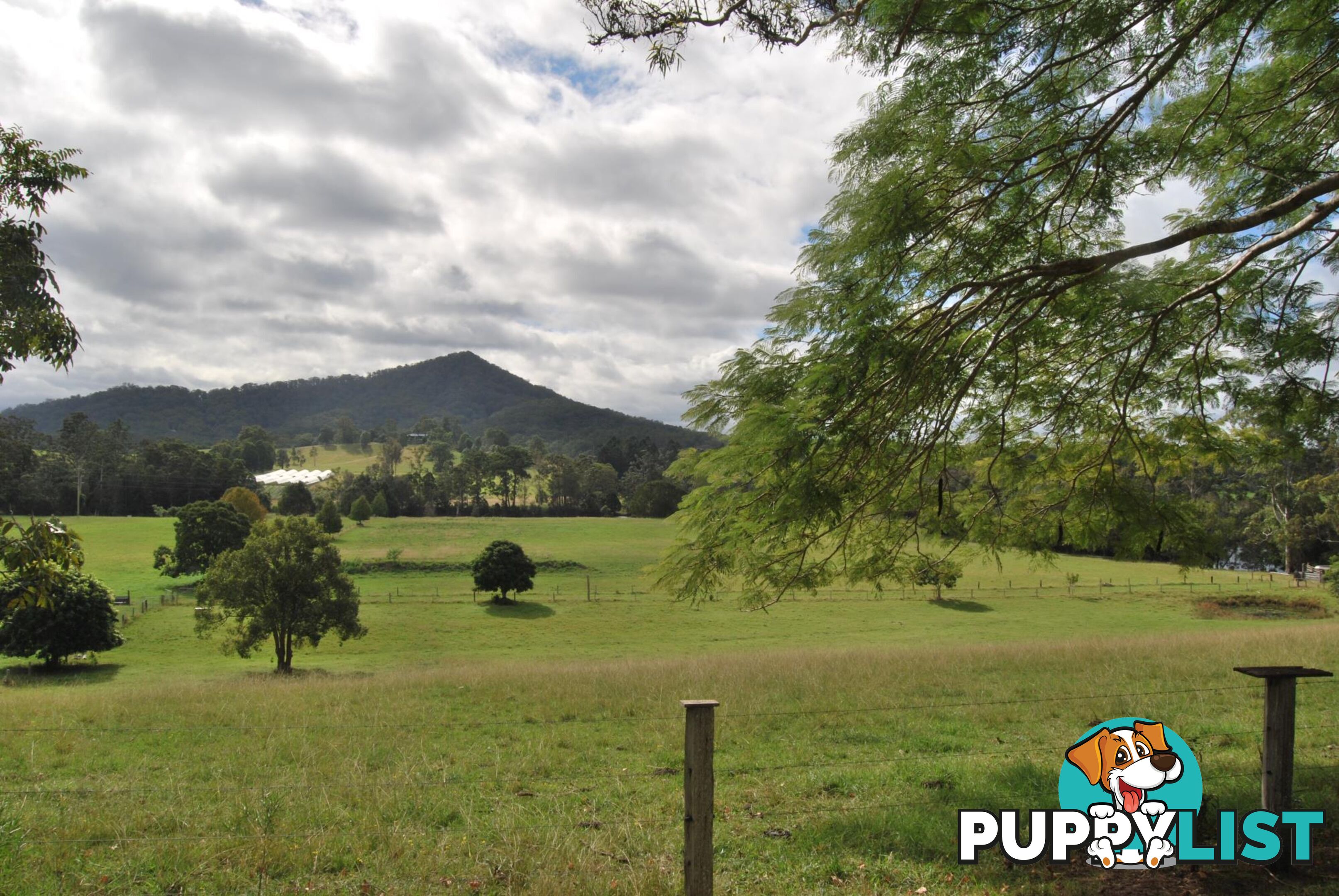 126 Deep Creek Road VALLA NSW 2448