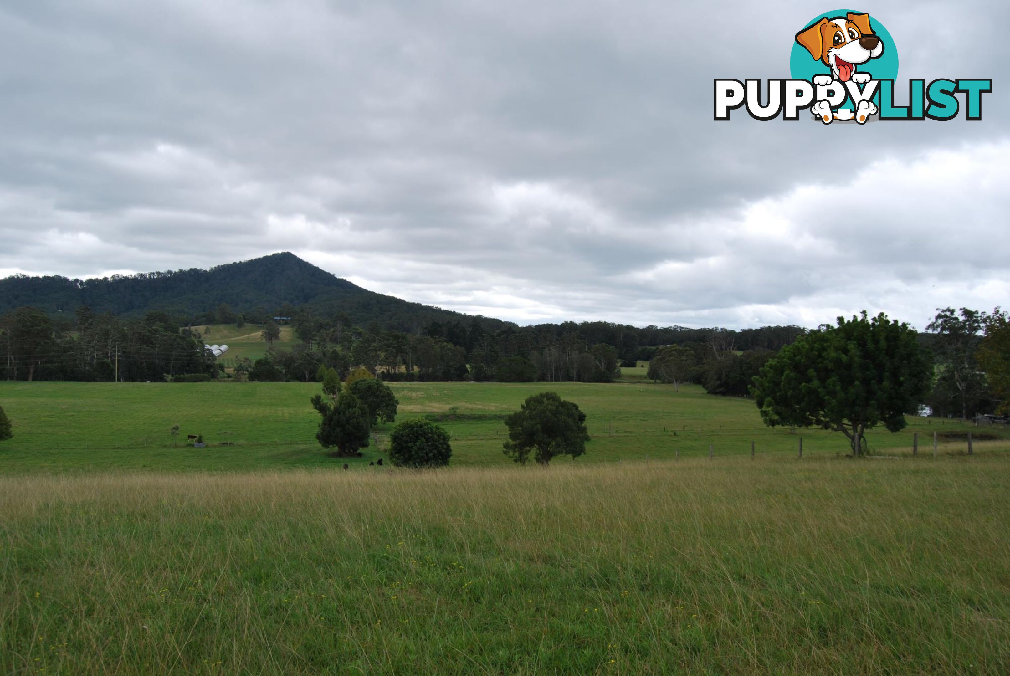 126 Deep Creek Road VALLA NSW 2448