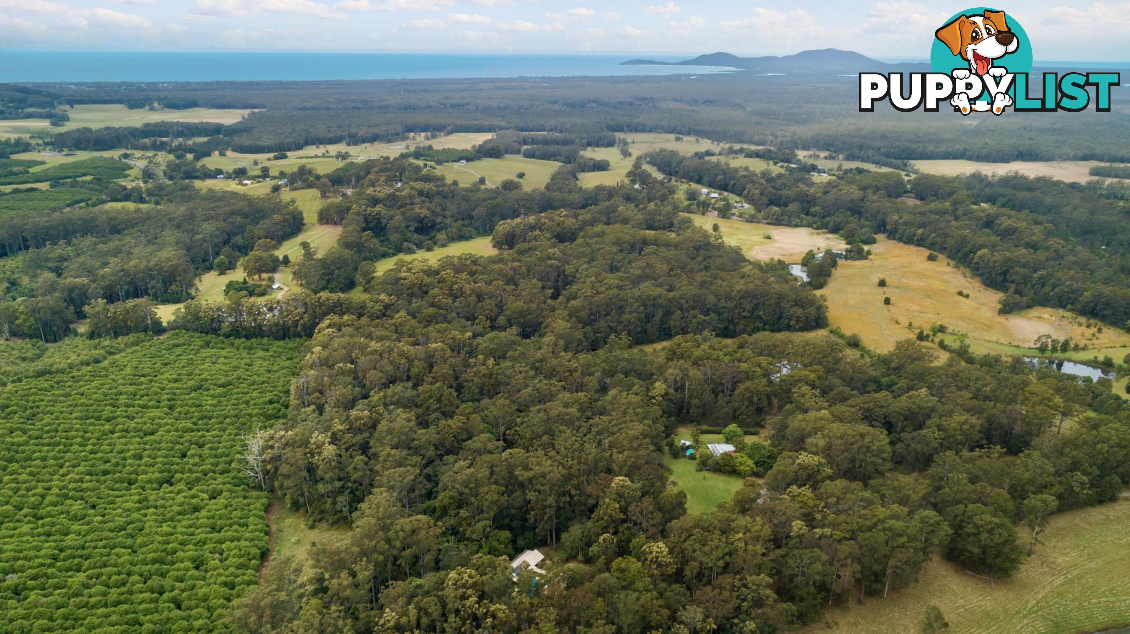 140 Browns Road YARRAHAPINNI NSW 2441