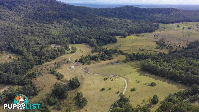 129 Featherstones Road UPPER CORINDI NSW 2456