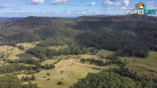 129 Featherstones Road UPPER CORINDI NSW 2456