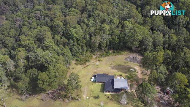 129 Featherstones Road UPPER CORINDI NSW 2456