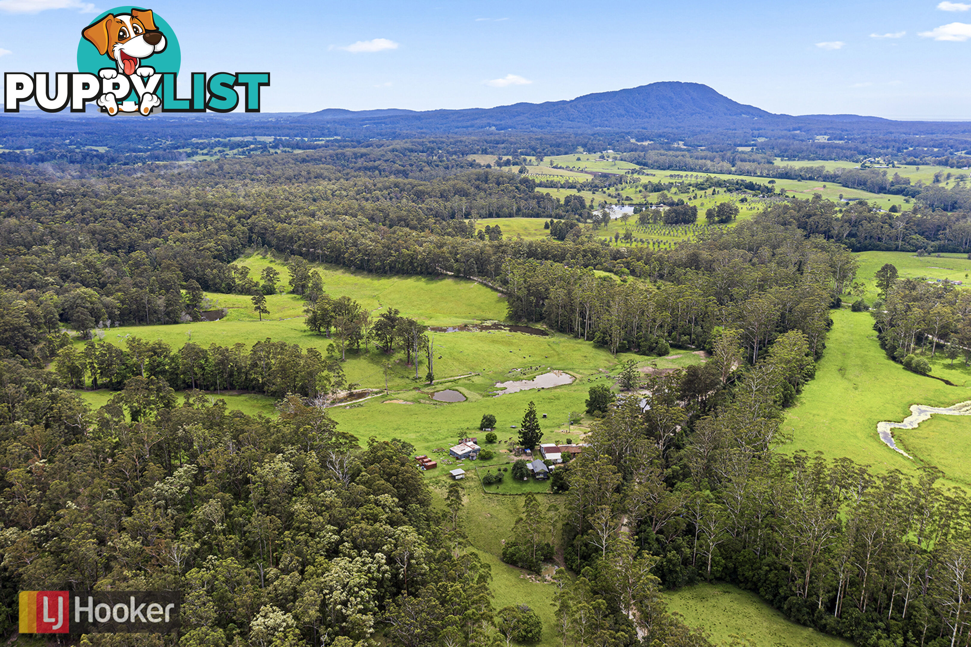 50 Elliots Road EUNGAI CREEK NSW 2441