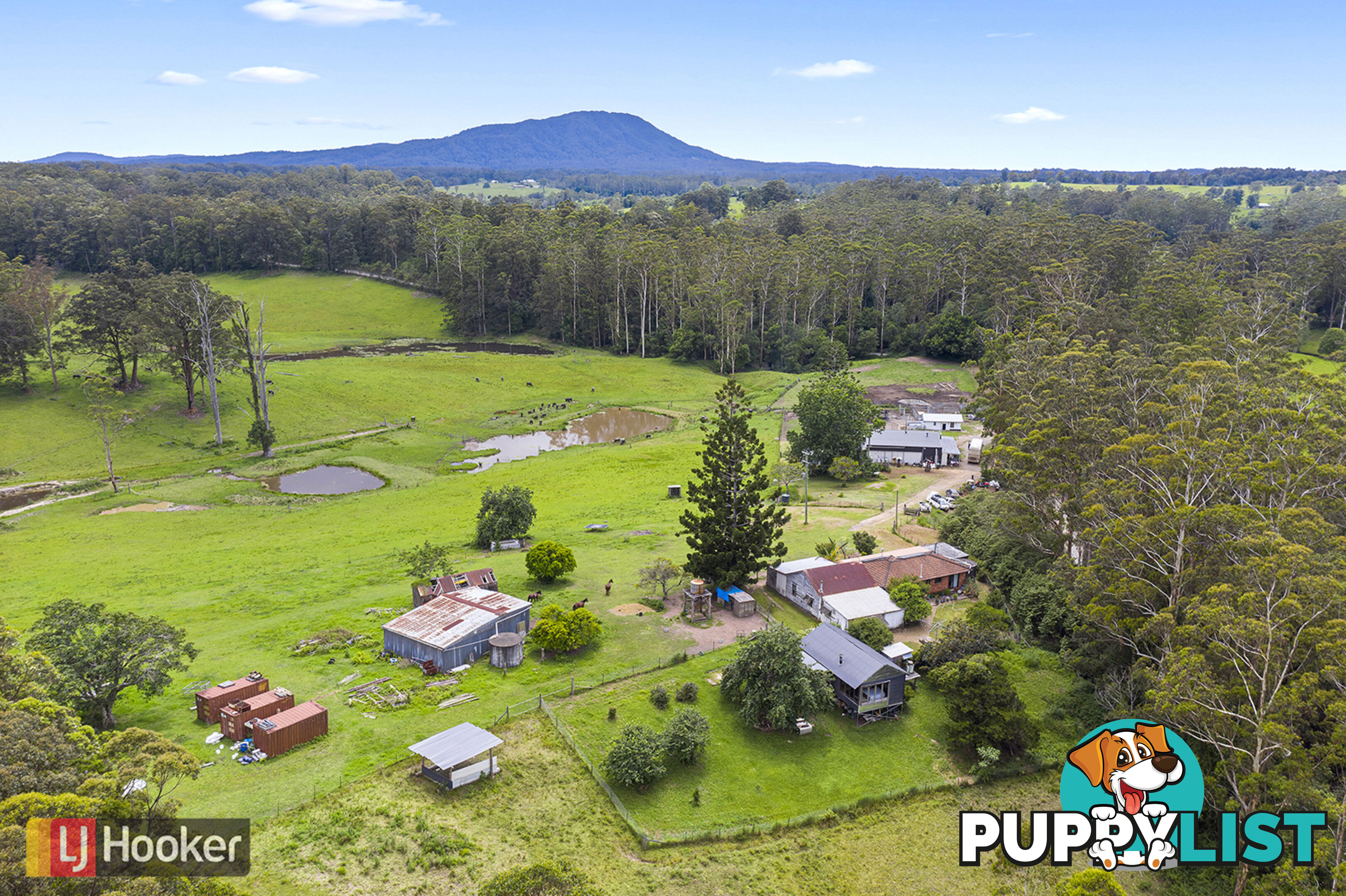 50 Elliots Road EUNGAI CREEK NSW 2441