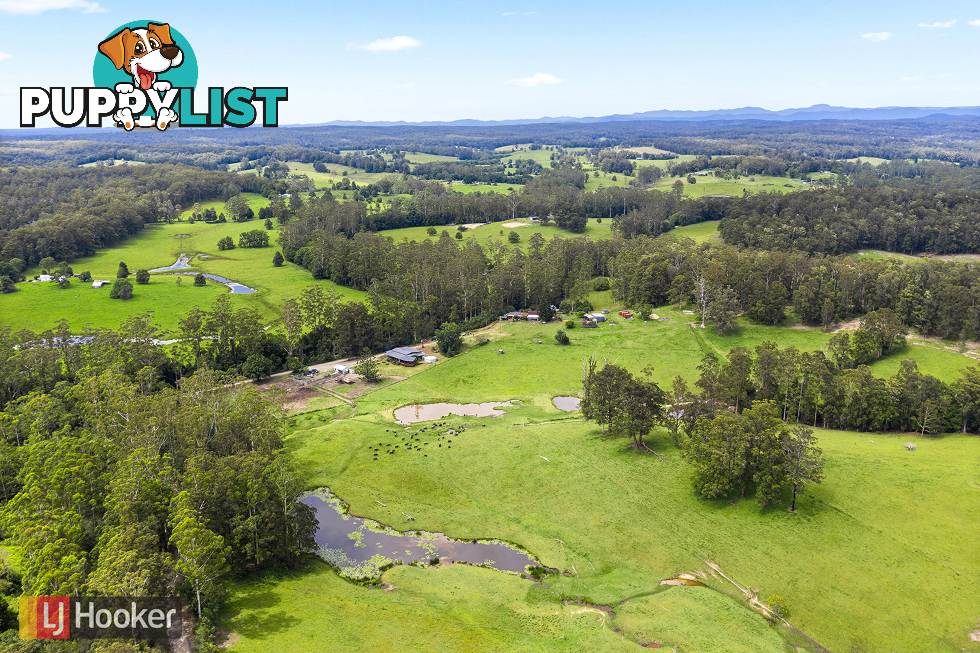 50 Elliots Road EUNGAI CREEK NSW 2441