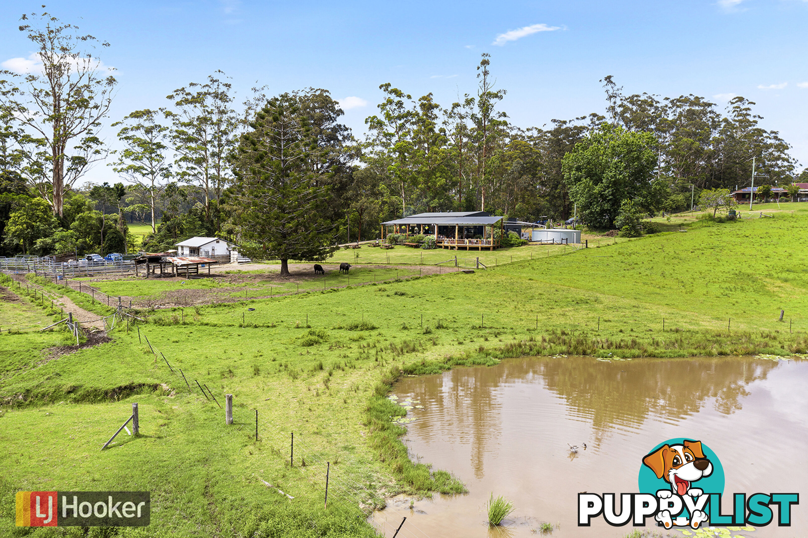 50 Elliots Road EUNGAI CREEK NSW 2441