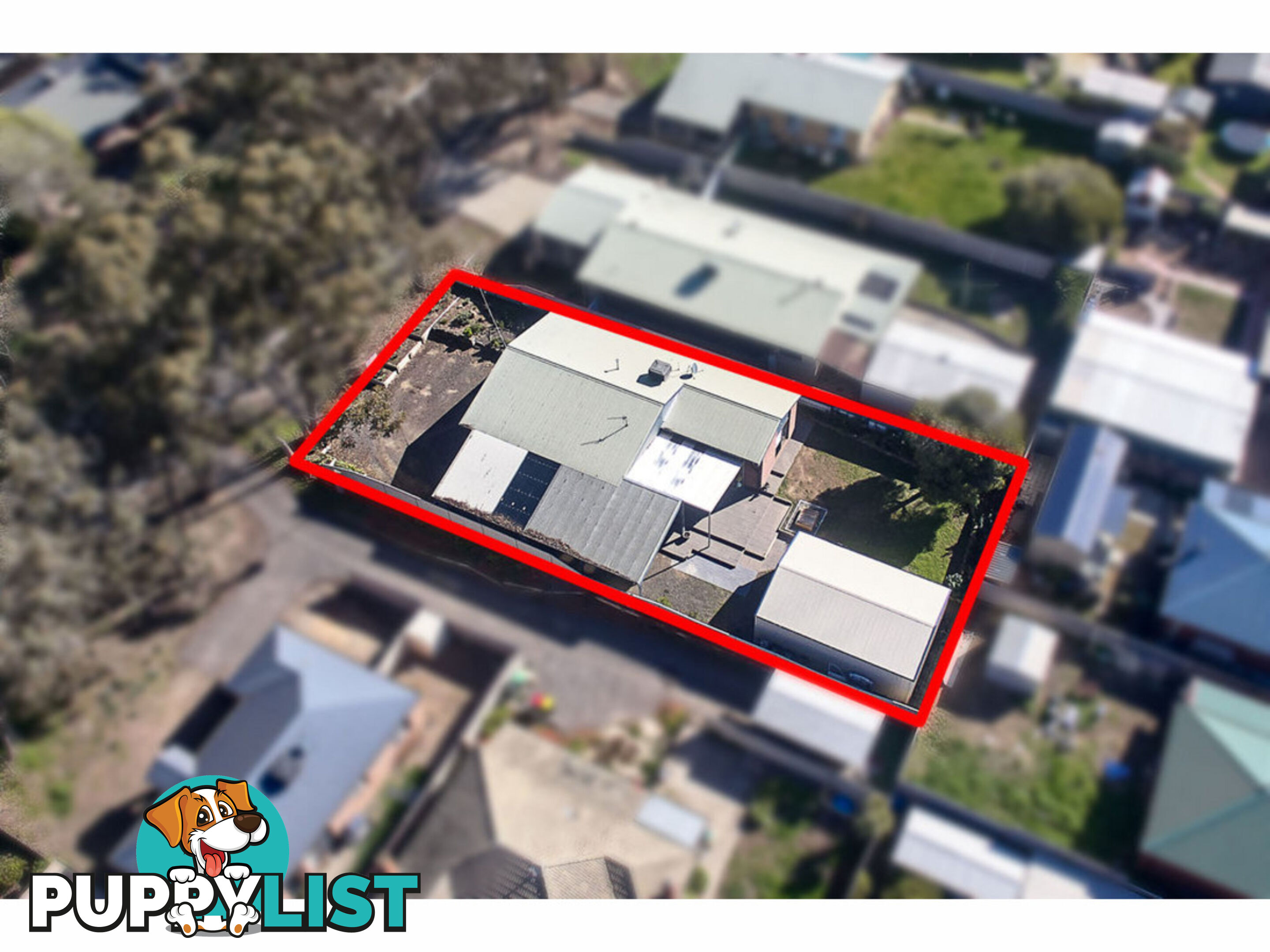 17 Lowe Street Kangaroo Flat VIC 3555