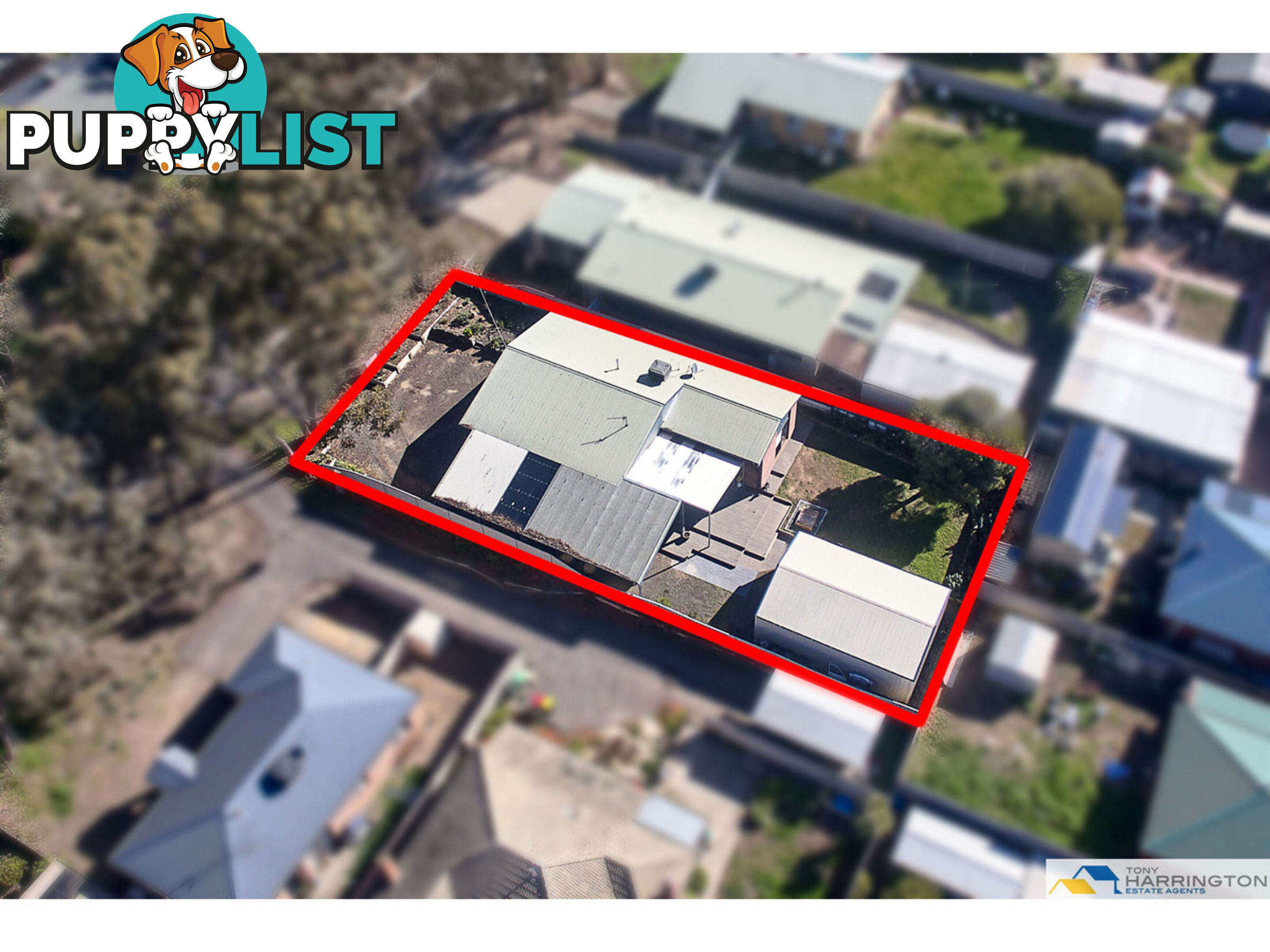 17 Lowe Street Kangaroo Flat VIC 3555