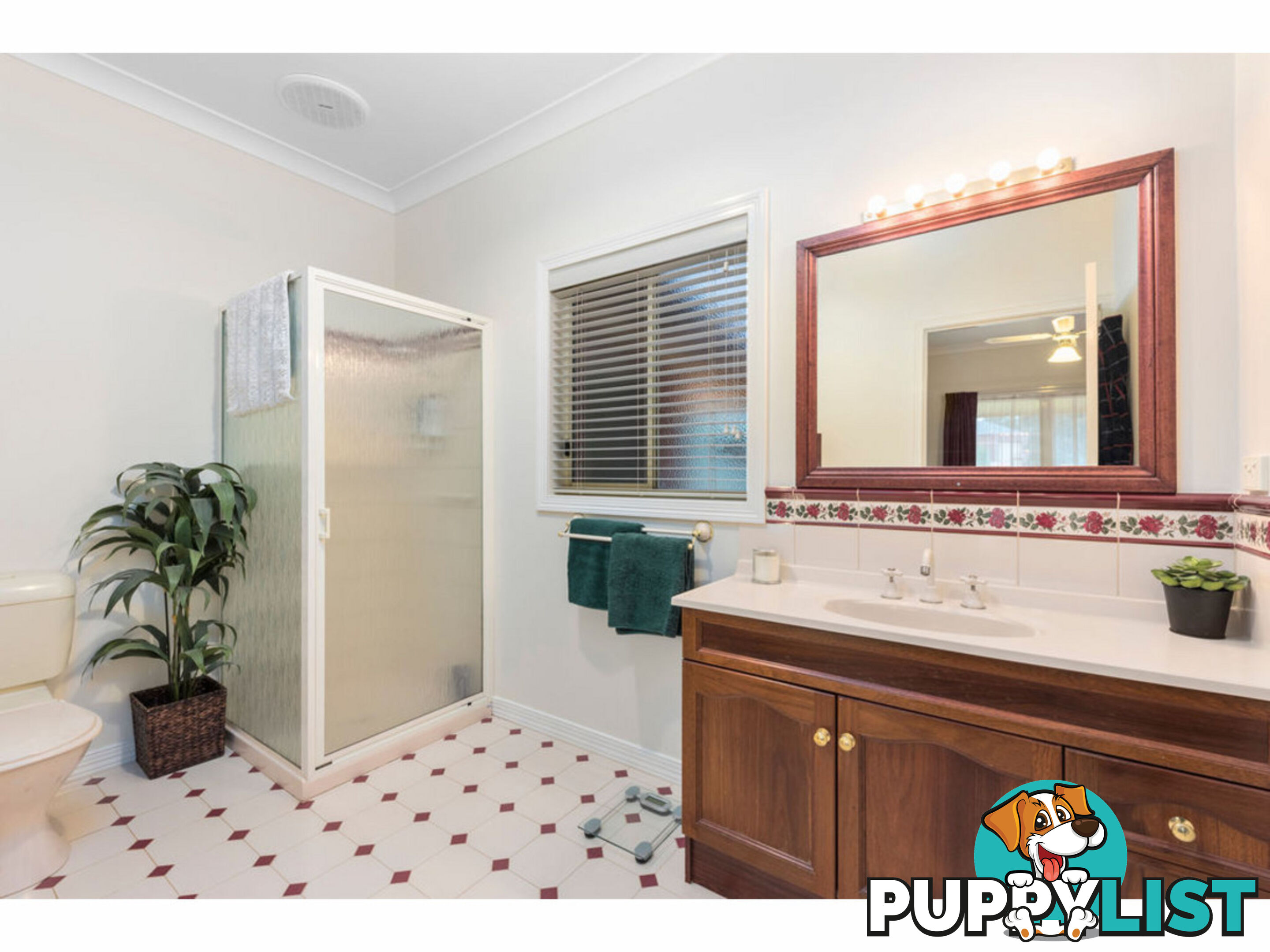 7 George Terrace Junortoun VIC 3551