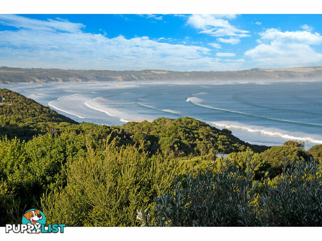 35 Panoramic Drive Cape Bridgewater VIC 3305