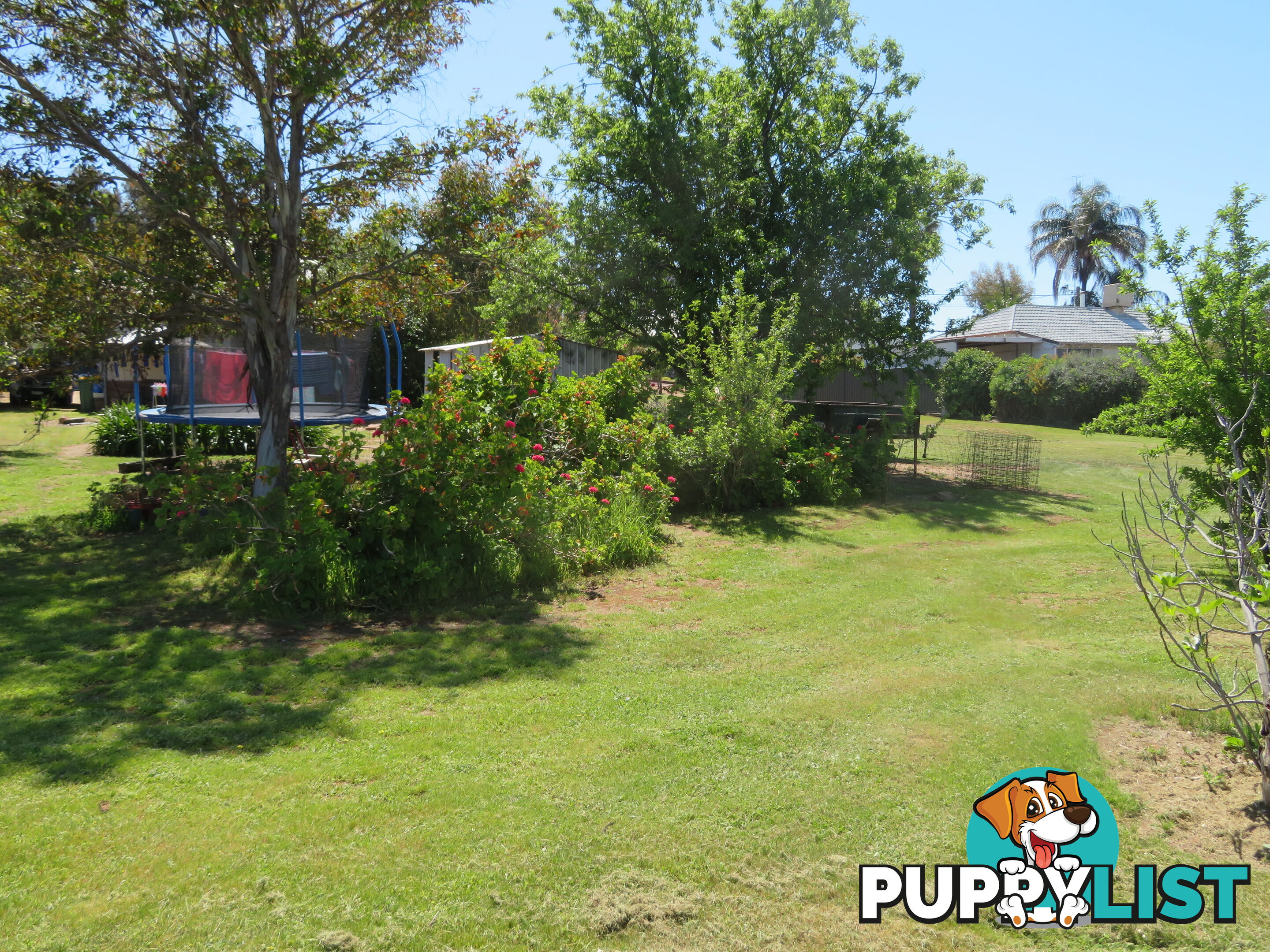 8 83 Kennedy Street NORTHAM WA 6401