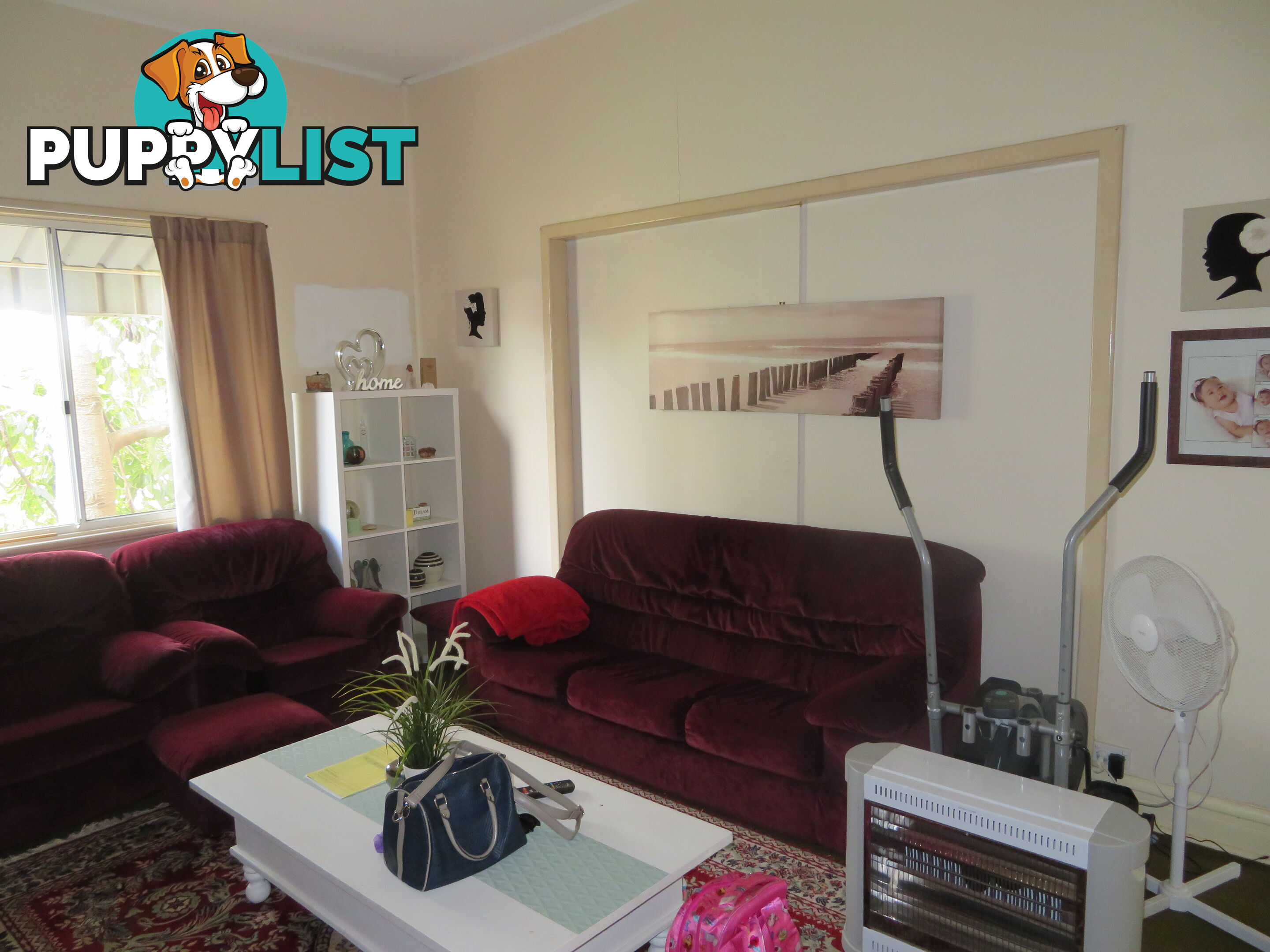 8 83 Kennedy Street NORTHAM WA 6401