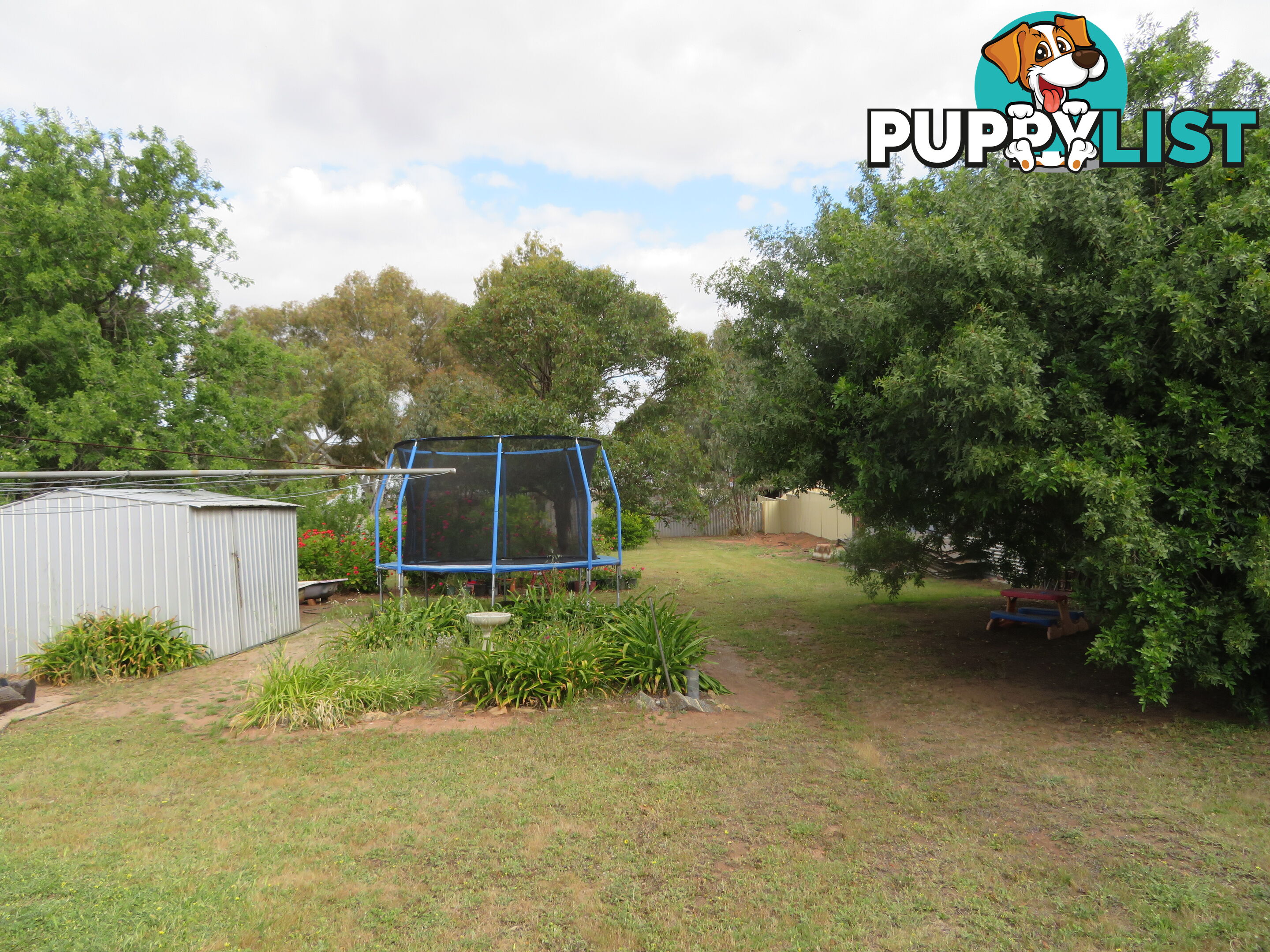 8 83 Kennedy Street NORTHAM WA 6401