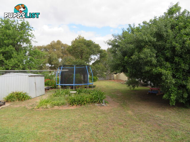 8 83 Kennedy Street NORTHAM WA 6401
