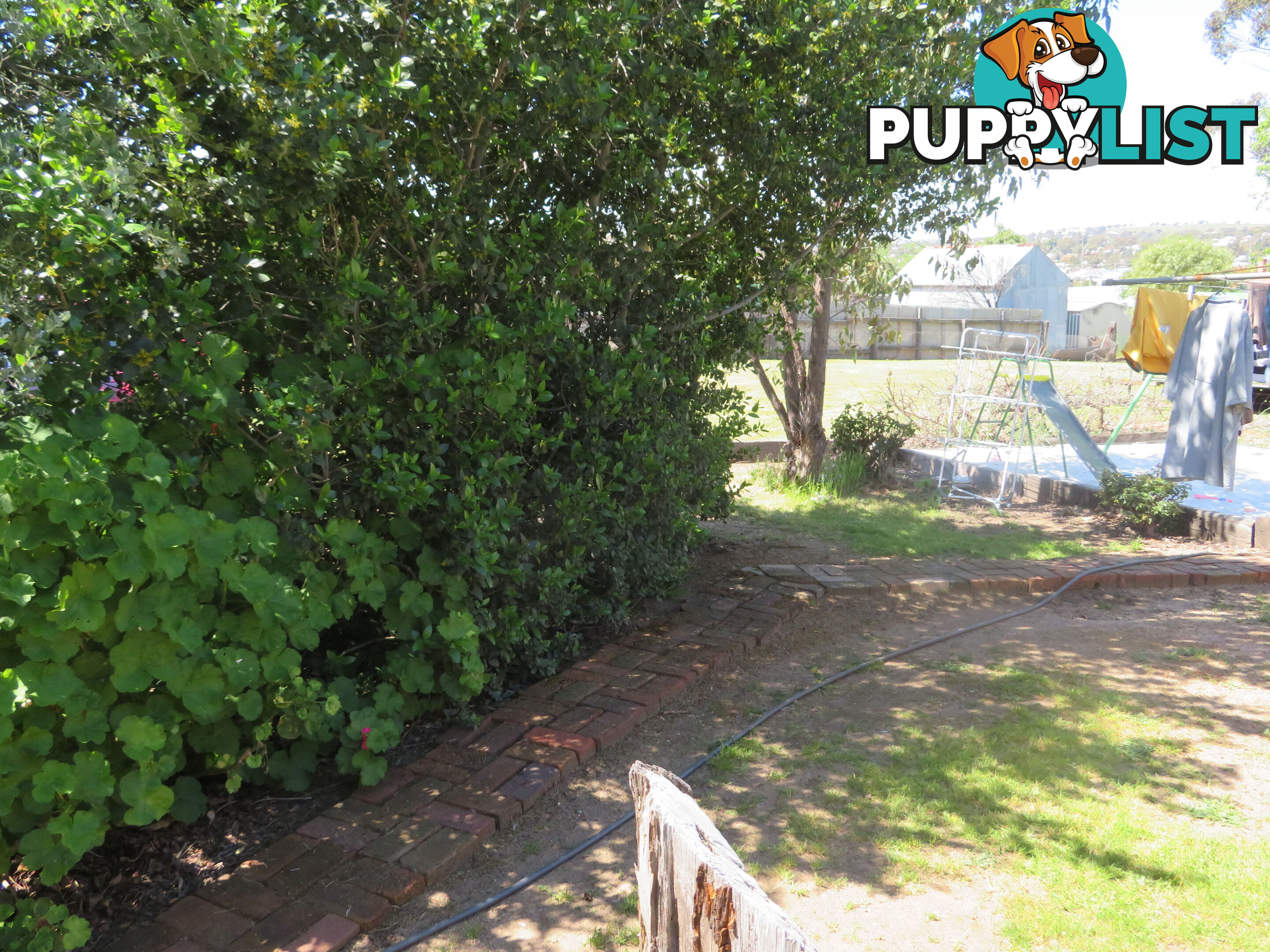 8 83 Kennedy Street NORTHAM WA 6401