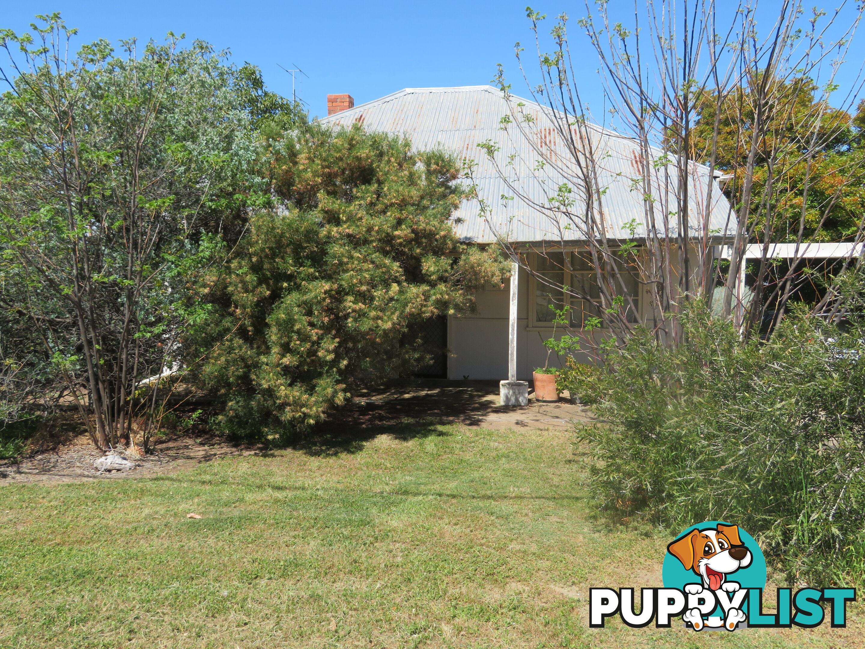 8 83 Kennedy Street NORTHAM WA 6401