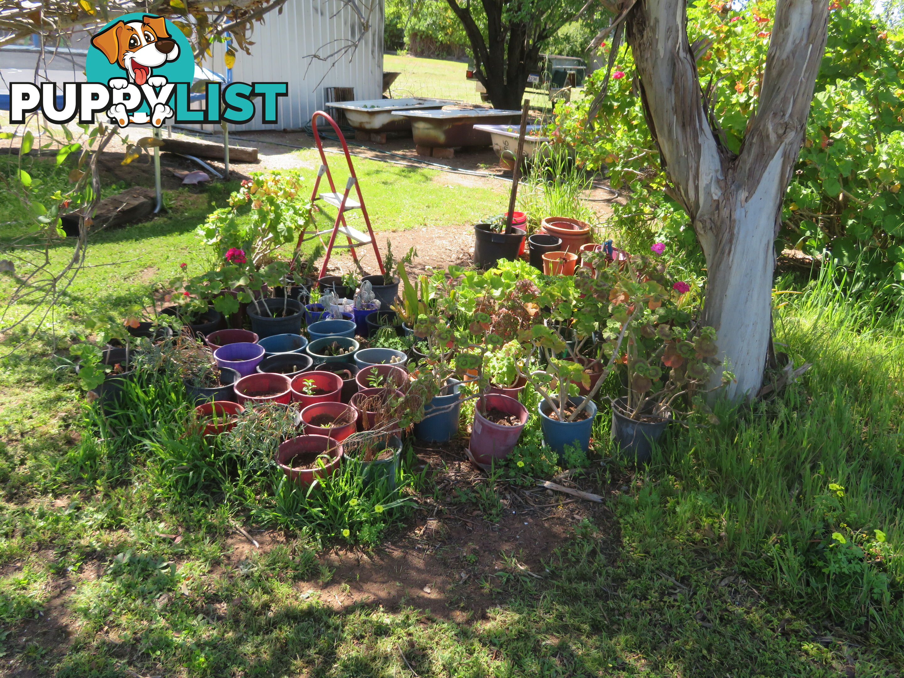 8 83 Kennedy Street NORTHAM WA 6401