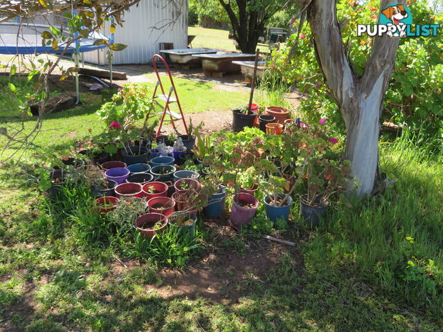 8 83 Kennedy Street NORTHAM WA 6401