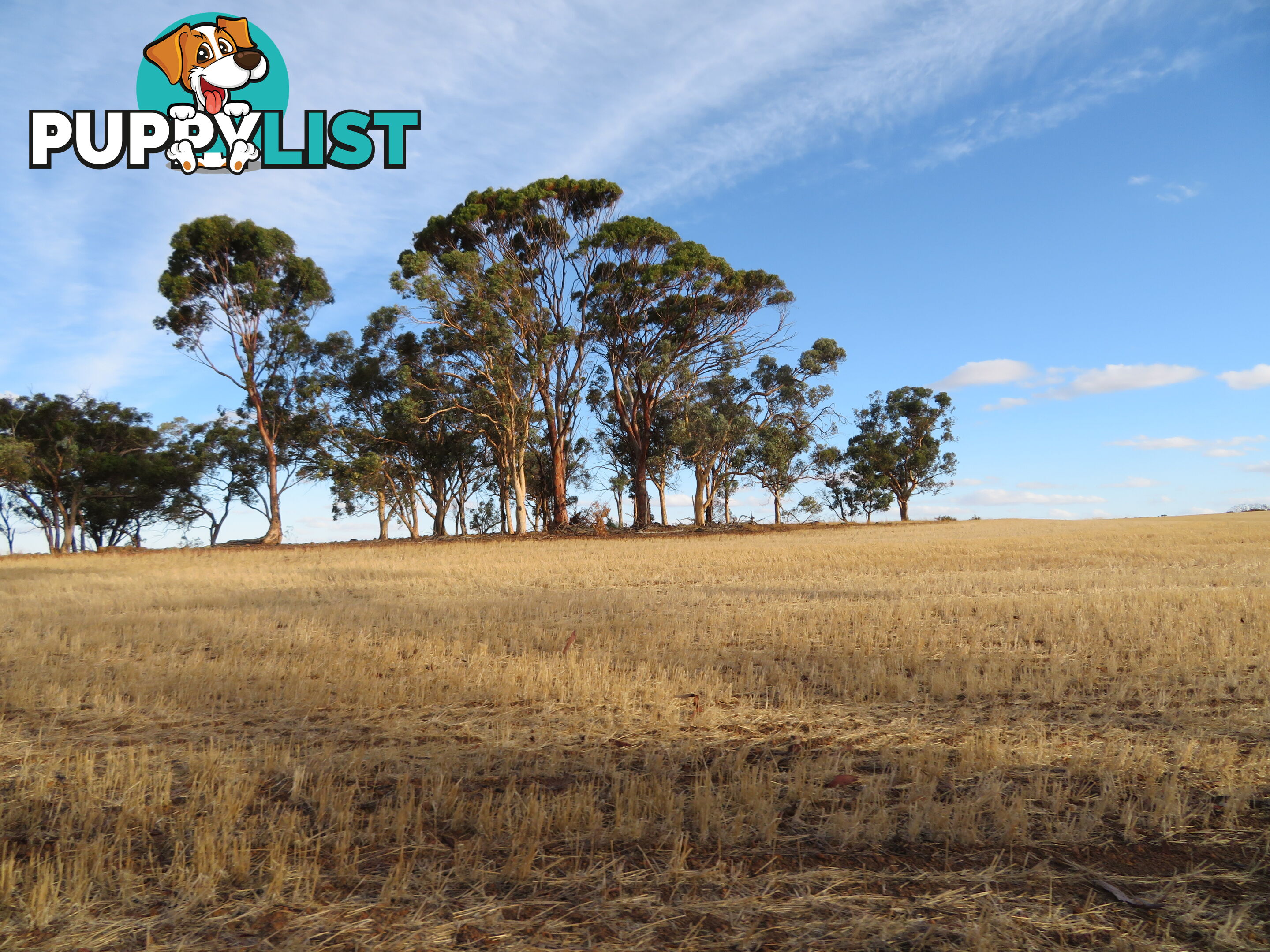 10352 Cunderdin-Quairading Road CUNDERDIN WA 6407