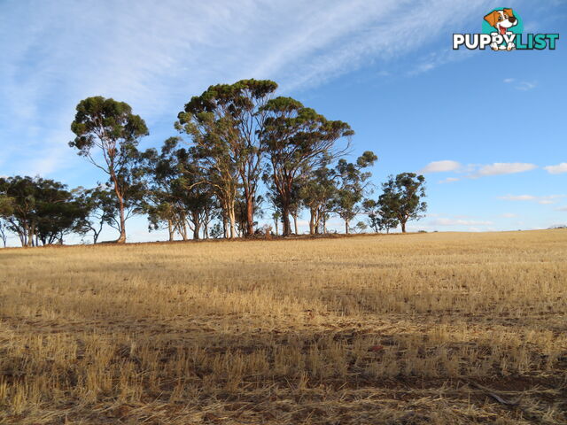 10352 Cunderdin-Quairading Road CUNDERDIN WA 6407