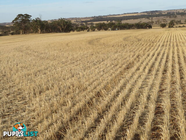 10352 Cunderdin-Quairading Road CUNDERDIN WA 6407