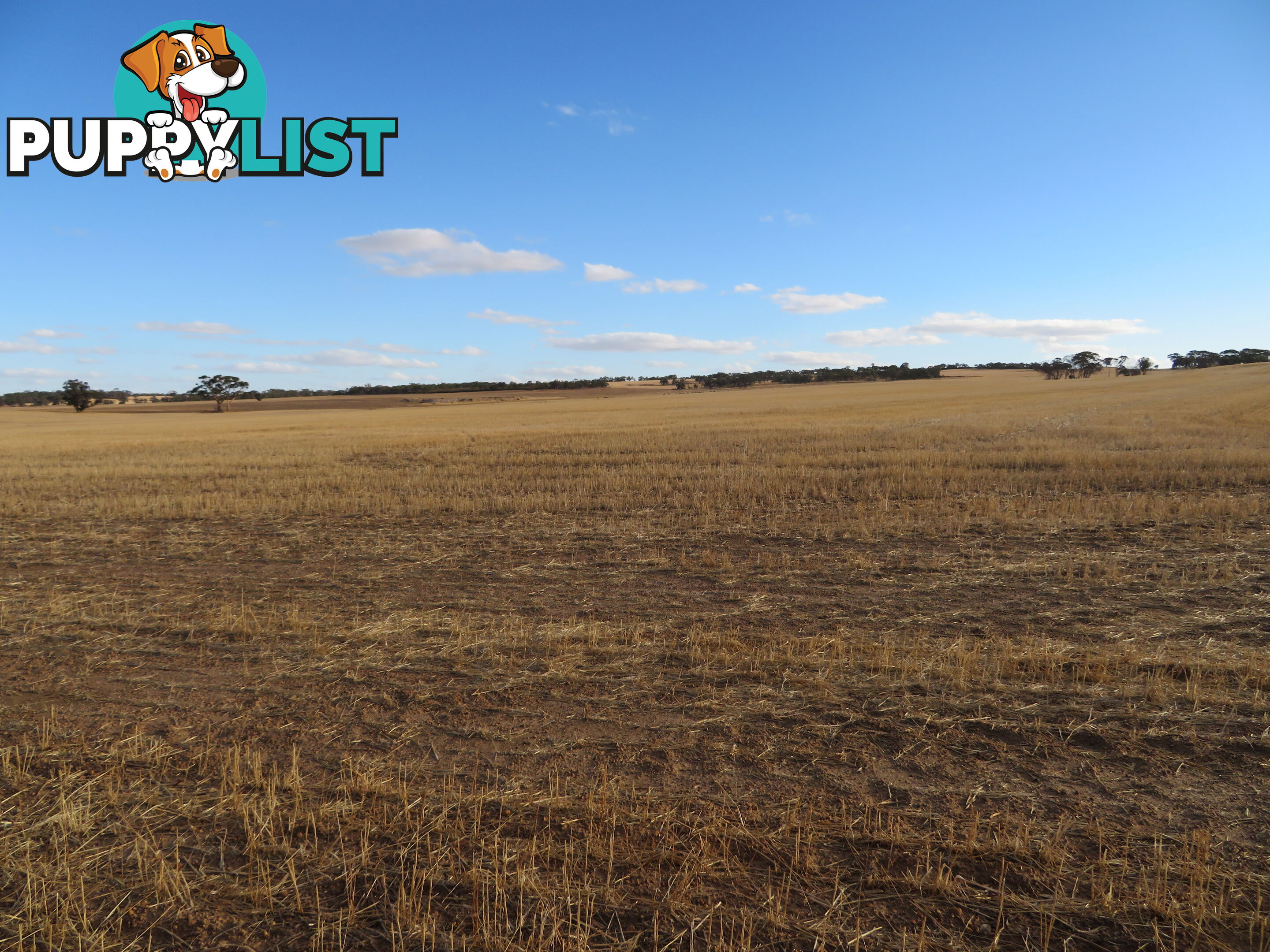 10352 Cunderdin-Quairading Road CUNDERDIN WA 6407