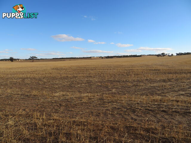 10352 Cunderdin-Quairading Road CUNDERDIN WA 6407