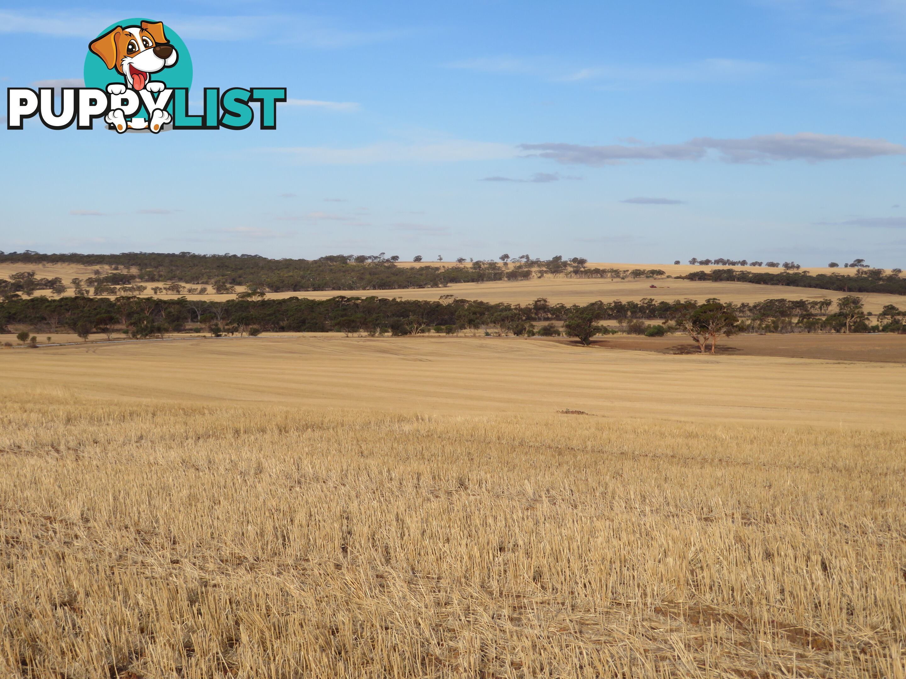 10352 Cunderdin-Quairading Road CUNDERDIN WA 6407