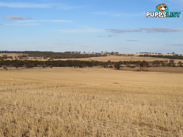 10352 Cunderdin-Quairading Road CUNDERDIN WA 6407