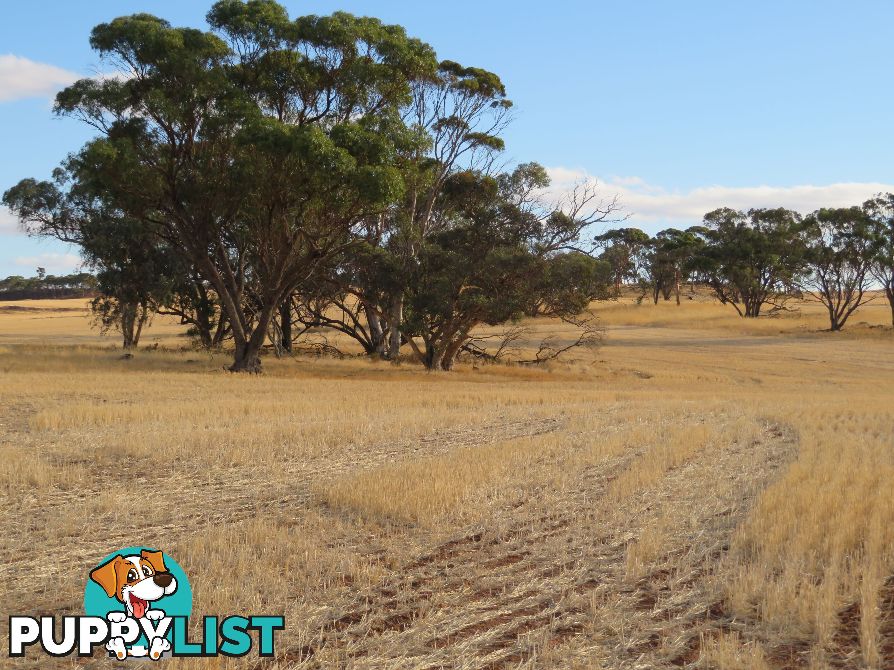 10352 Cunderdin-Quairading Road CUNDERDIN WA 6407