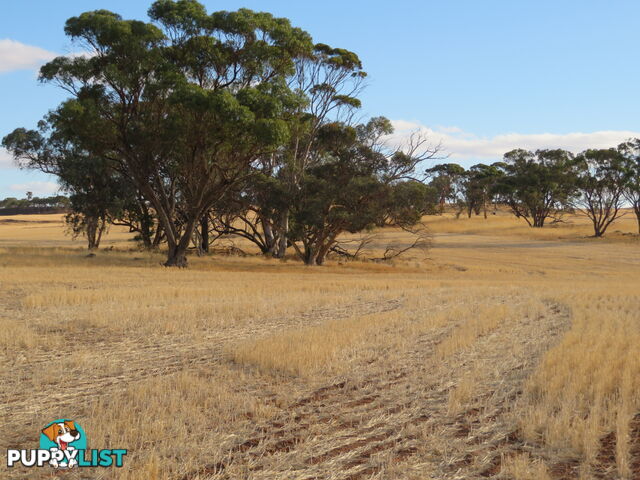 10352 Cunderdin-Quairading Road CUNDERDIN WA 6407