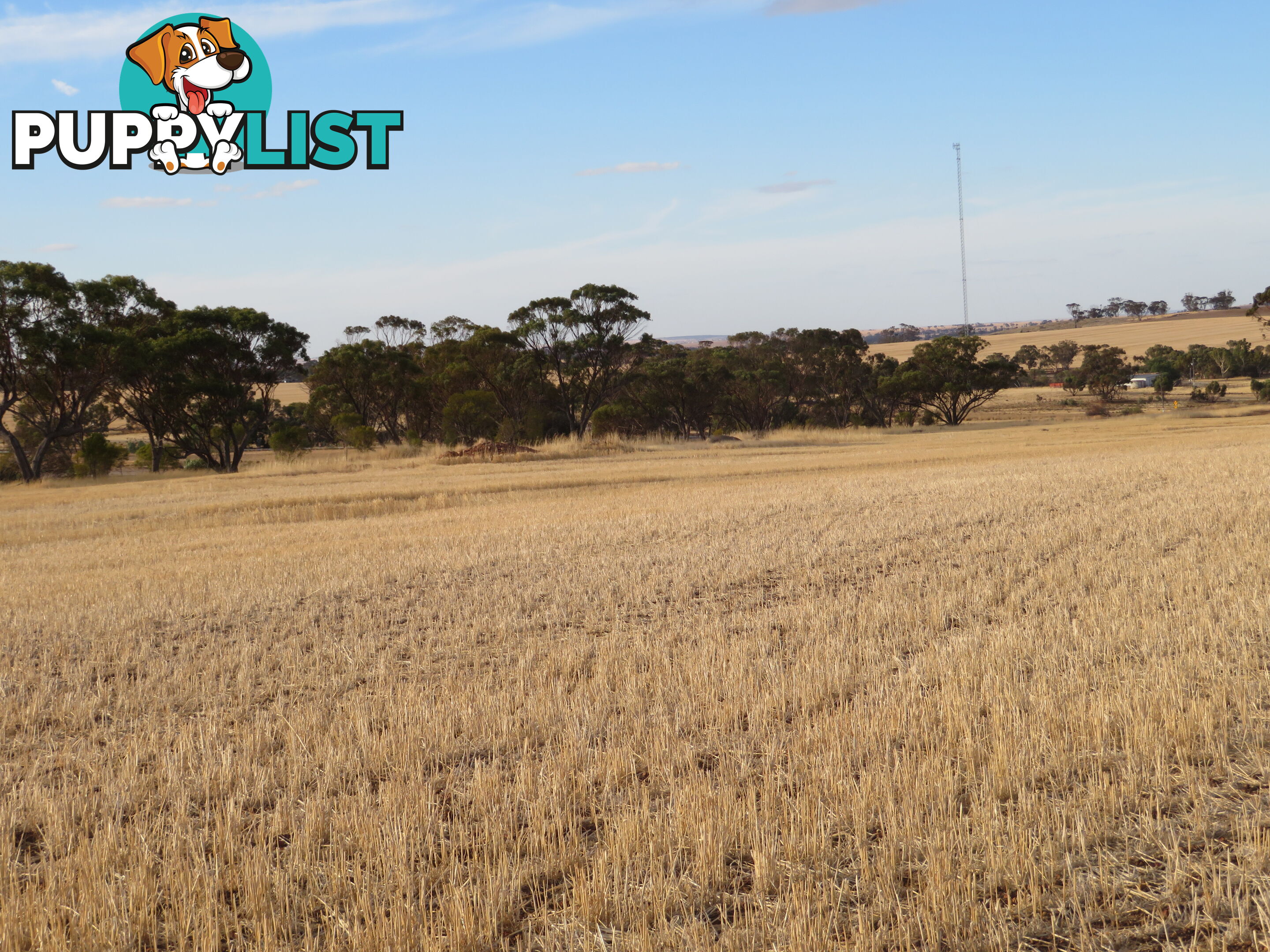 10352 Cunderdin-Quairading Road CUNDERDIN WA 6407