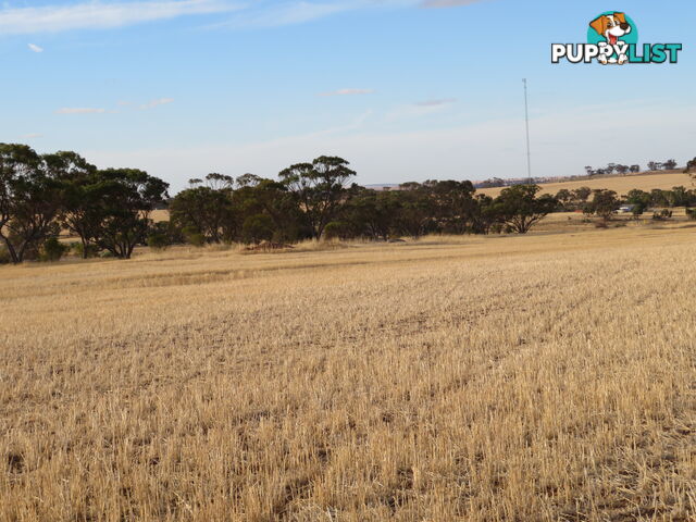 10352 Cunderdin-Quairading Road CUNDERDIN WA 6407