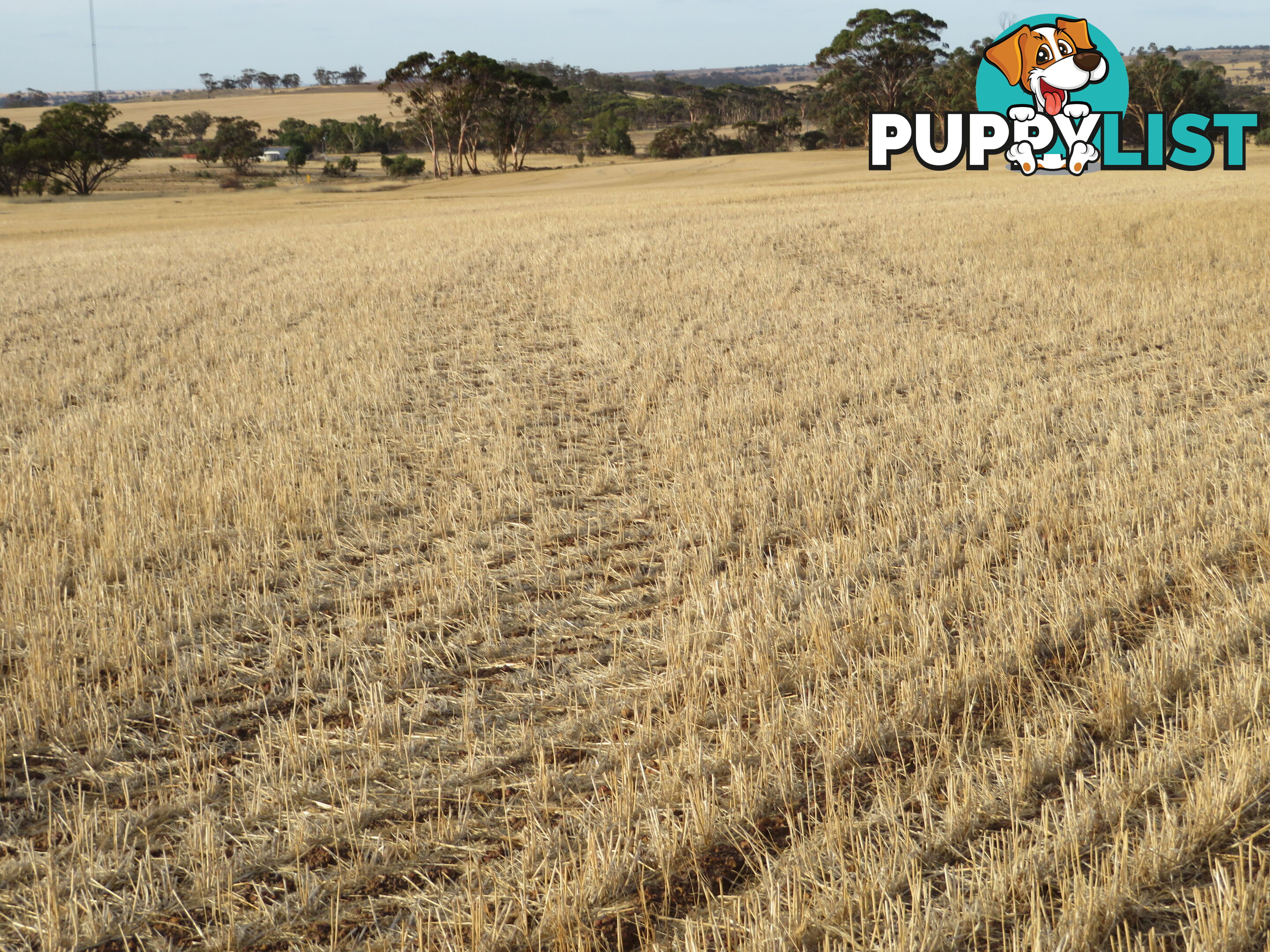 10352 Cunderdin-Quairading Road CUNDERDIN WA 6407