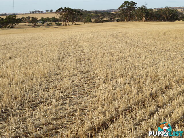10352 Cunderdin-Quairading Road CUNDERDIN WA 6407