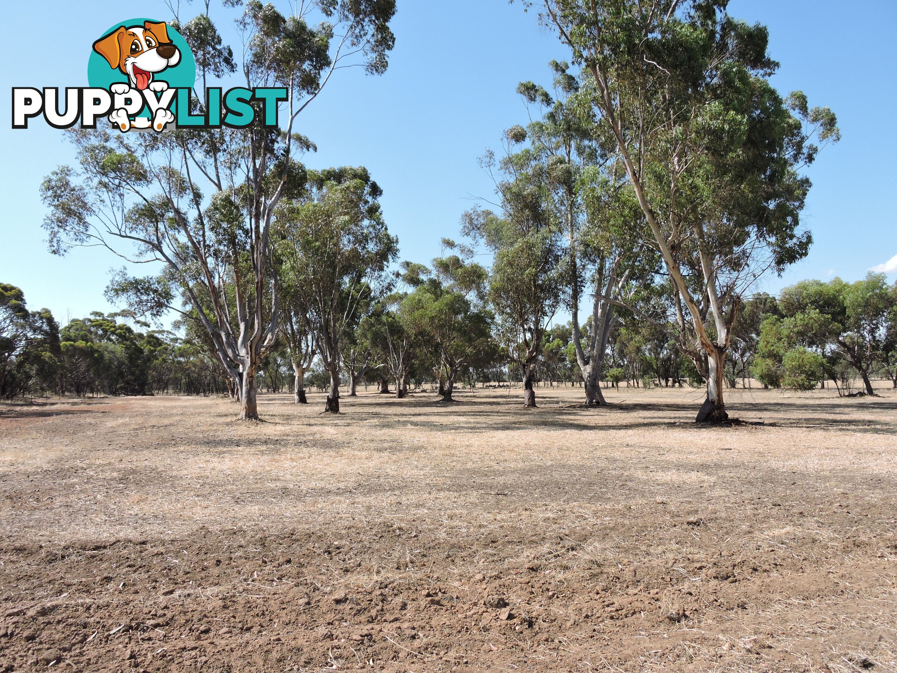2 Robinsin BROOKTON WA 6306