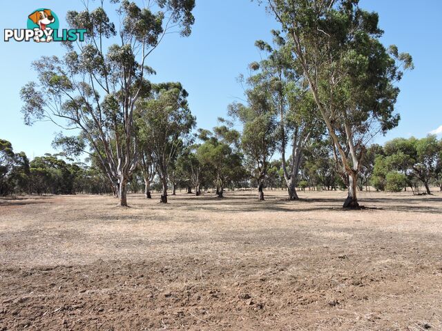2 Robinsin BROOKTON WA 6306