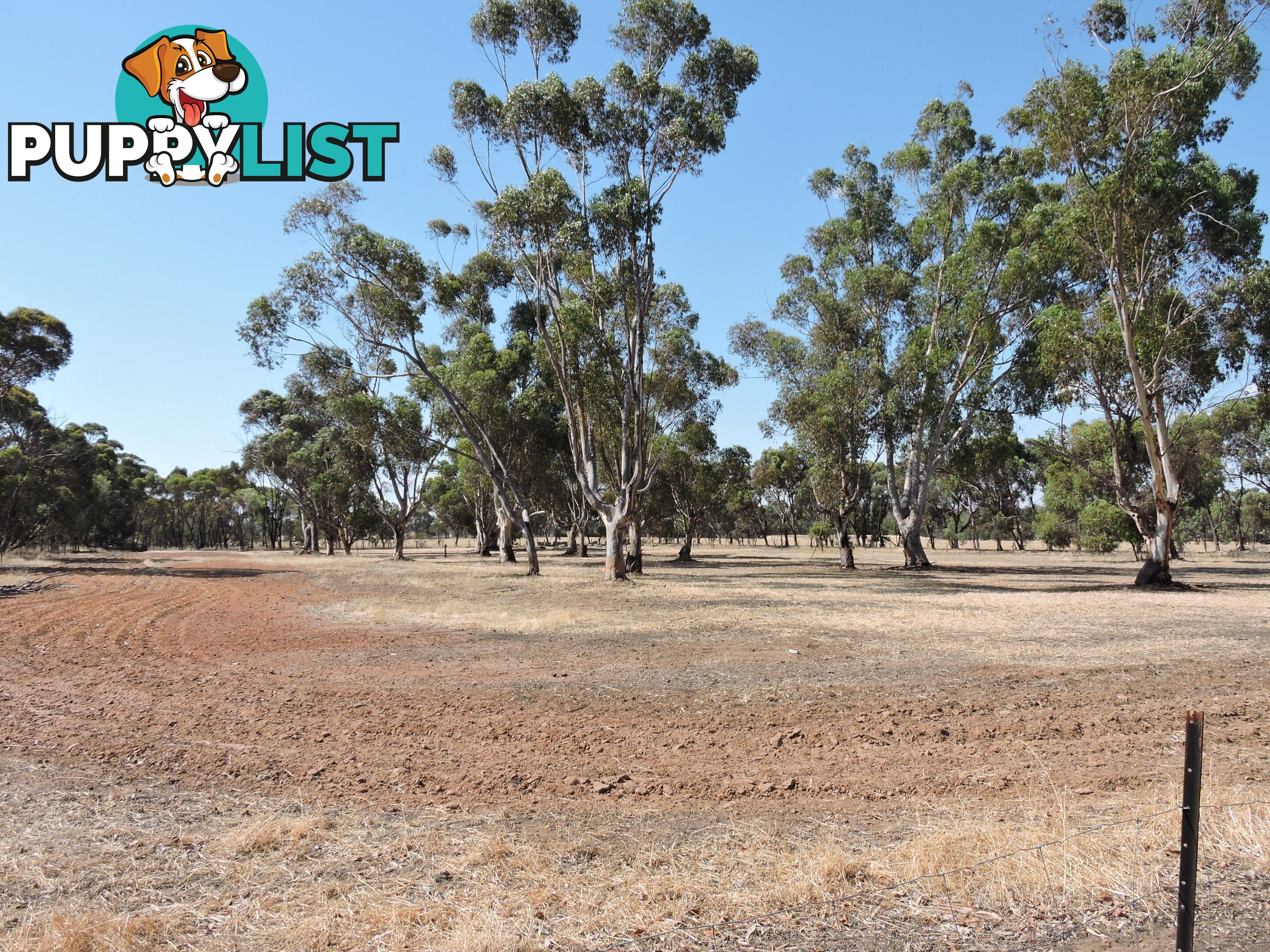 2 Robinsin BROOKTON WA 6306