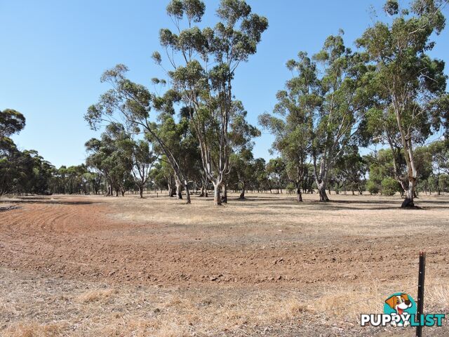 2 Robinsin BROOKTON WA 6306