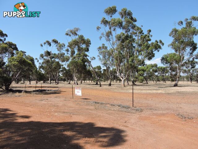 2 Robinsin BROOKTON WA 6306